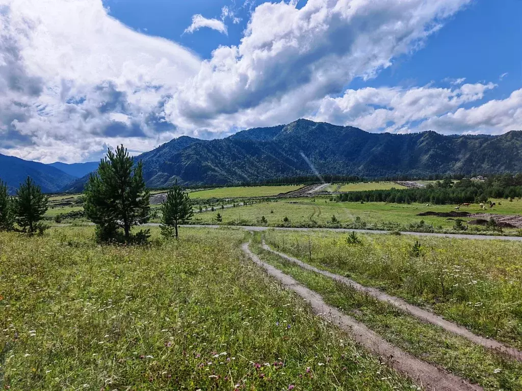 Участок в Алтай, Чемальский район, Элекмонарское с/пос, с. Элекмонар  ... - Фото 0