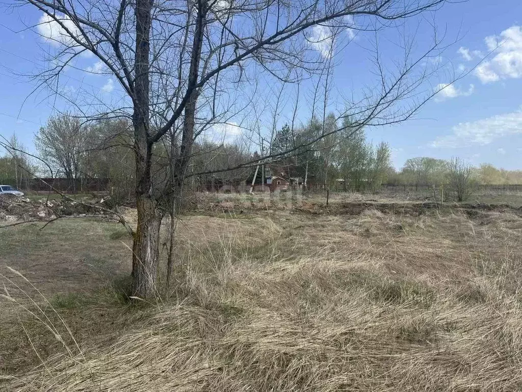 Участок в Самарская область, Ставропольский район, Нижнее Санчелеево ... - Фото 0