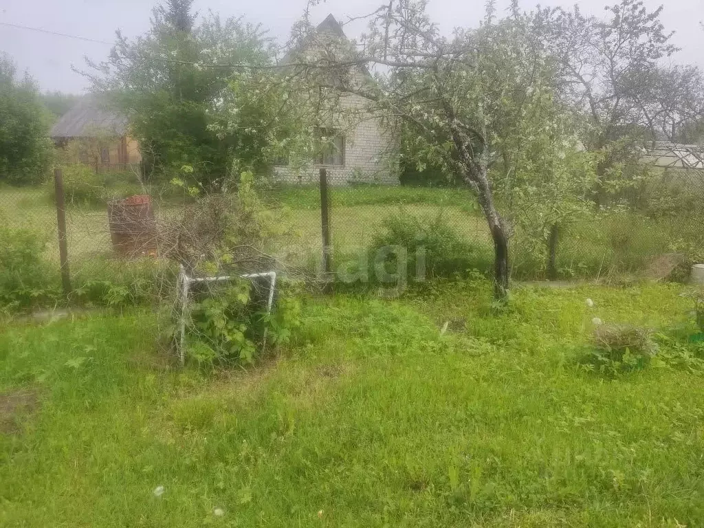 Участок в Псковская область, Псковский район, Тямшанская волость, ... - Фото 2