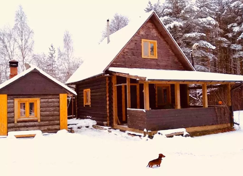 Дом в Тверская область, Осташковский муниципальный округ, д. Гуща  (79 ... - Фото 1