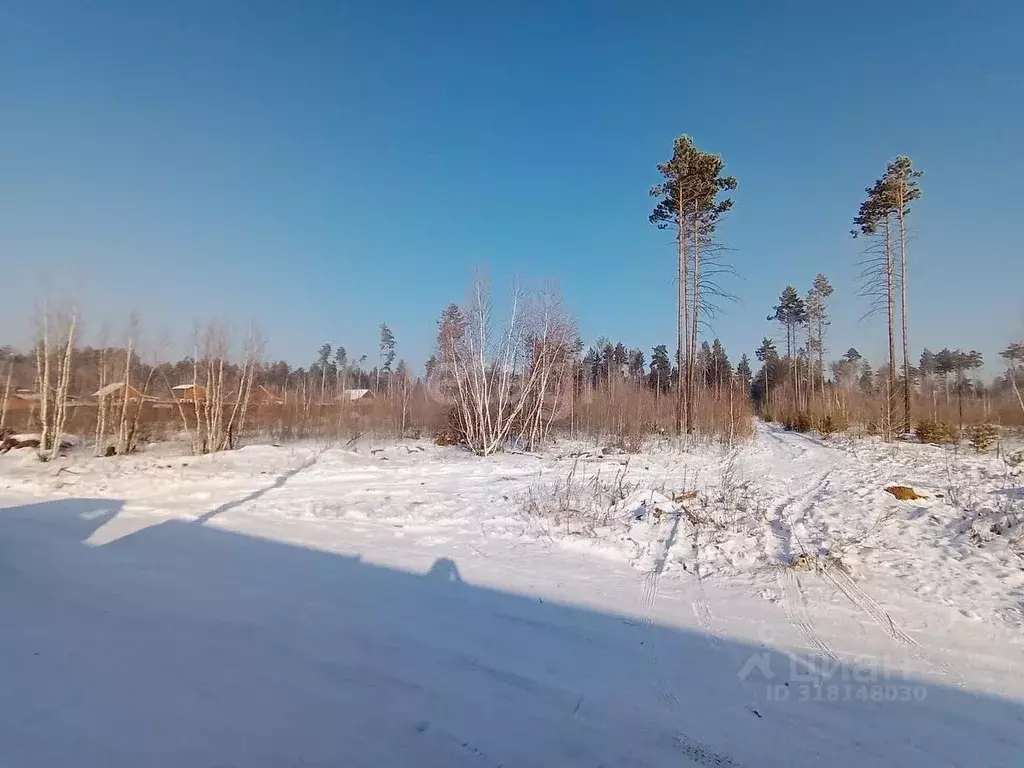 Участок в Забайкальский край, Читинский район, с. Смоленка  (46.6 ... - Фото 0