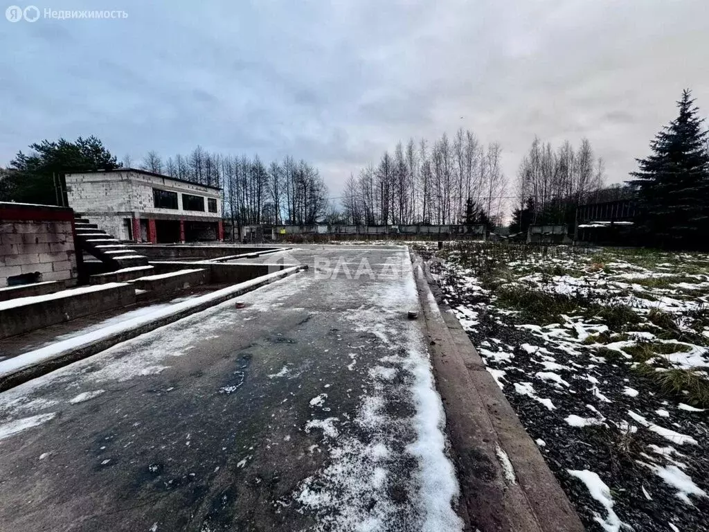 Участок в Санкт-Петербург, территория Лахта (24 м) - Фото 2