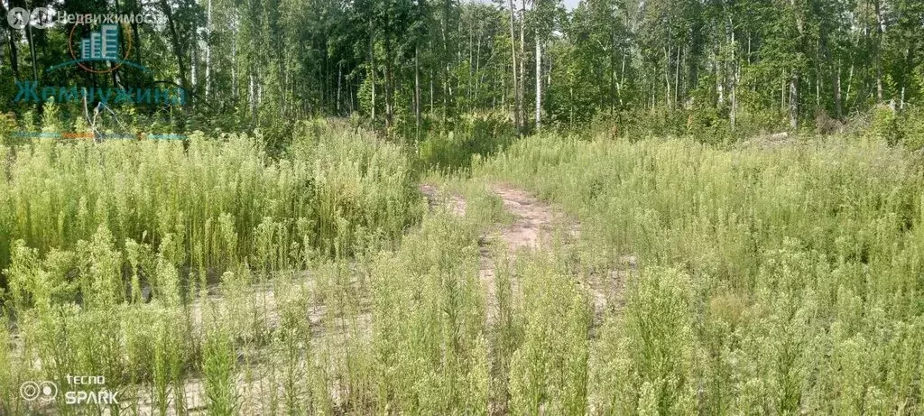 Участок в Ульяновская область, Димитровград (10 м) - Фото 1