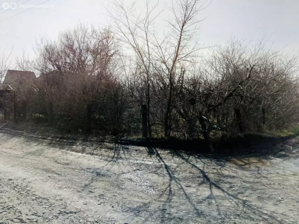 Участок в Рассветовское сельское поселение, садоводческое ... - Фото 1