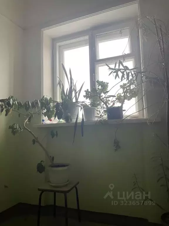 3-к кв. Псковская область, Печоры Вокзальная ул., 9 (65.0 м) - Фото 2