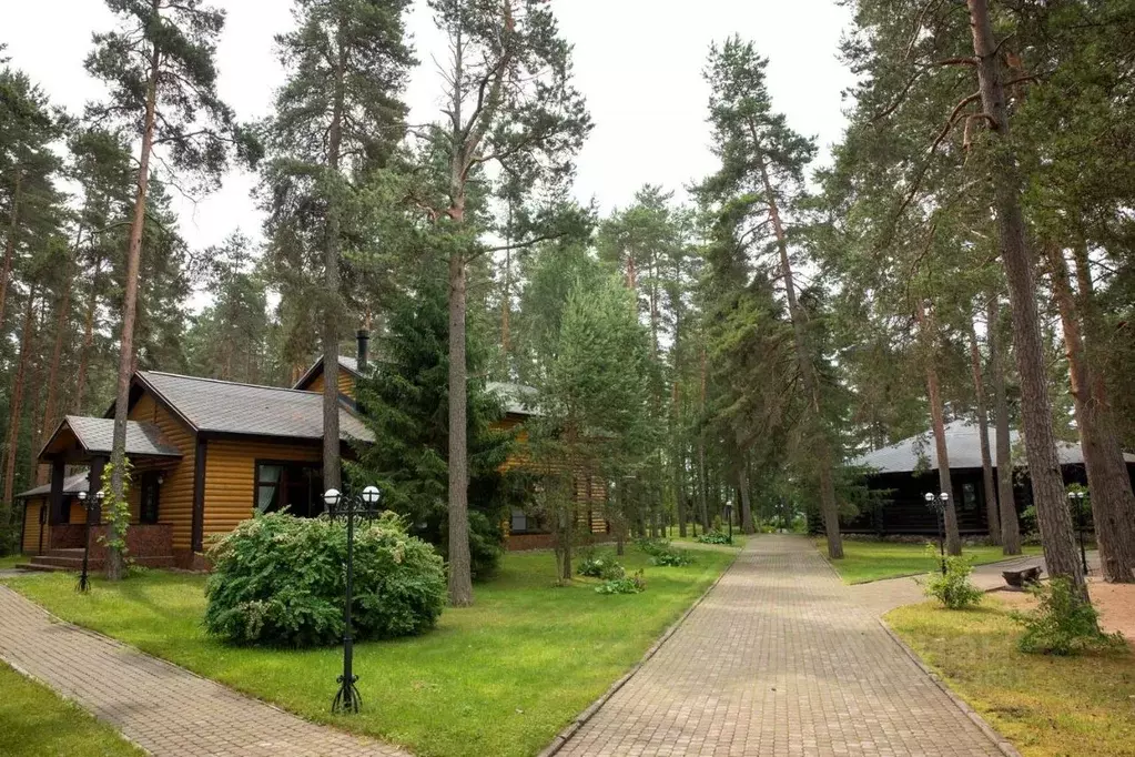Коттедж в Ленинградская область, Выборгский район, Красносельское ... - Фото 0
