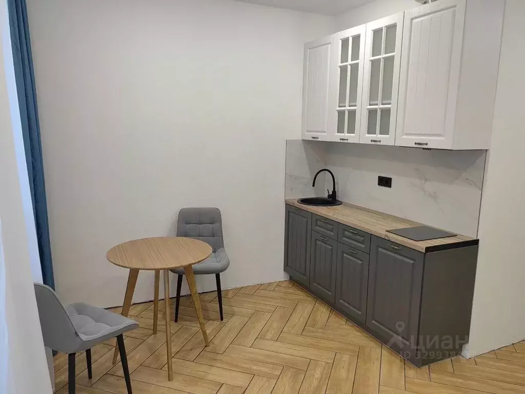 Студия Московская область, Подольск городской округ, д. Борисовка ул. ... - Фото 1