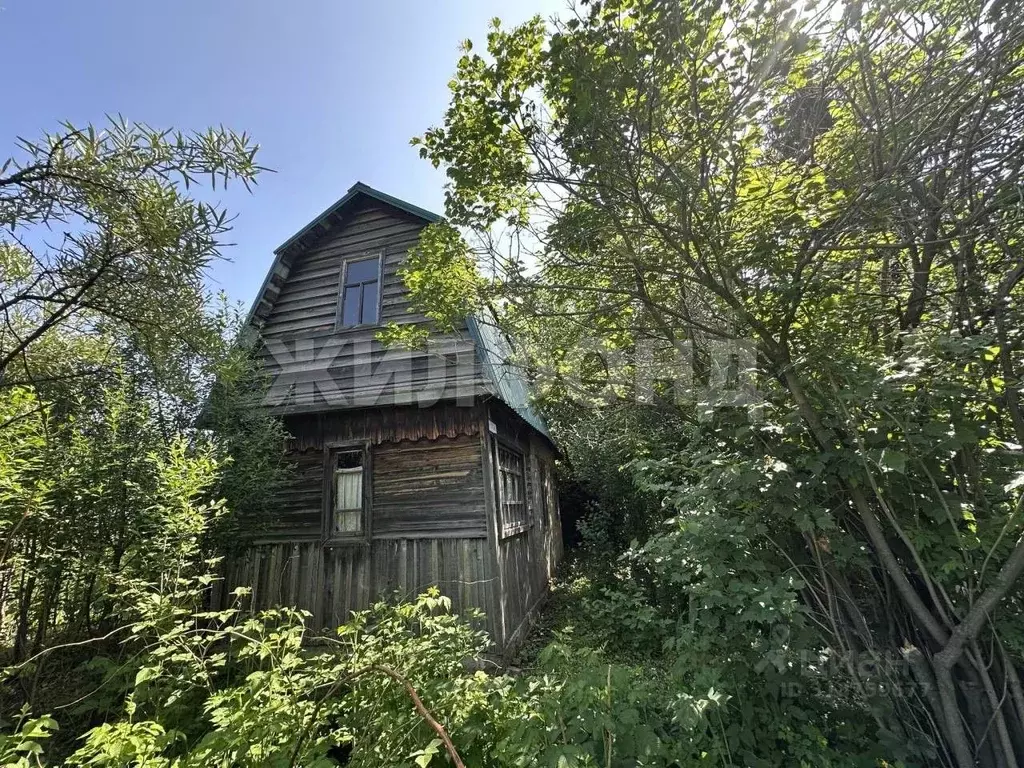 Дом в Новосибирская область, Коченевский район, Онега СНТ ул. 5-я (36 ... - Фото 0