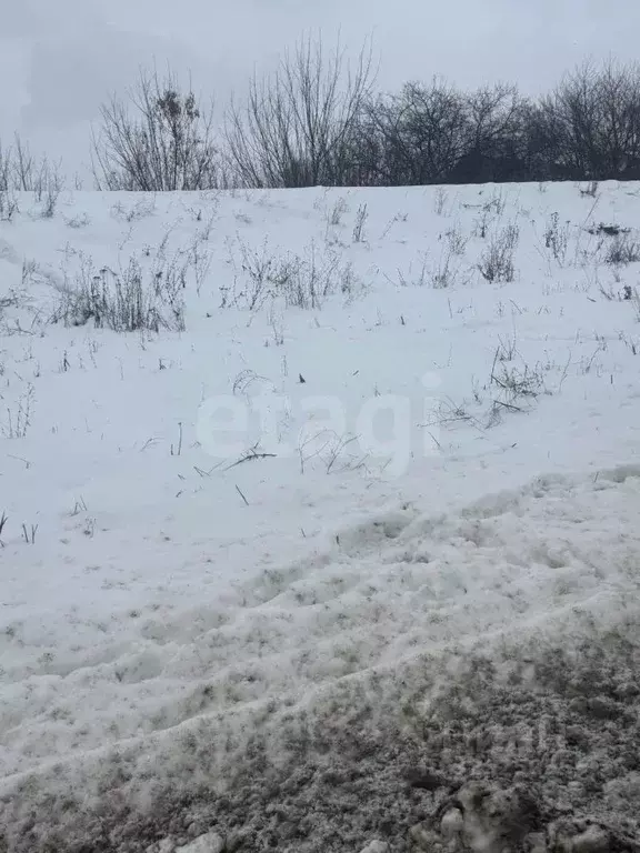 Участок в Мордовия, Лямбирский район, Берсеневское с/пос, с. Татарская ... - Фото 2