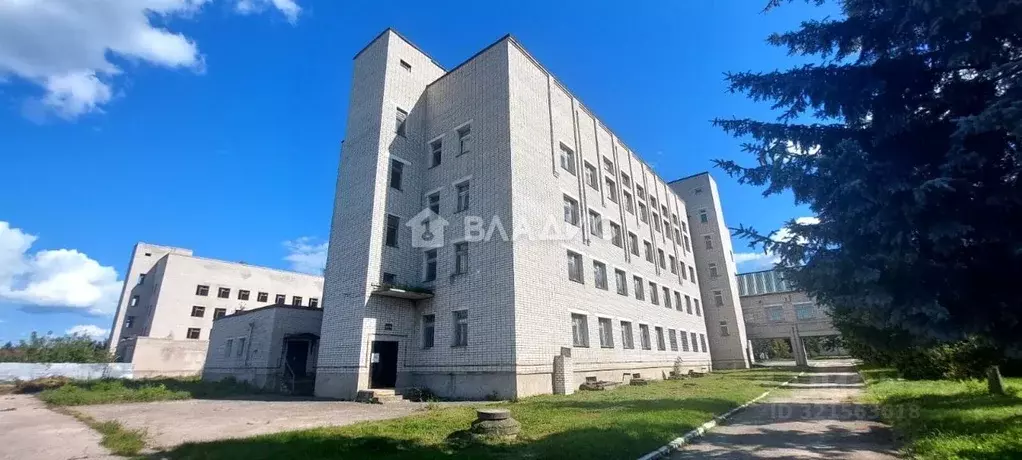 Помещение свободного назначения в Липецкая область, Елец Новолипецкая ... - Фото 0