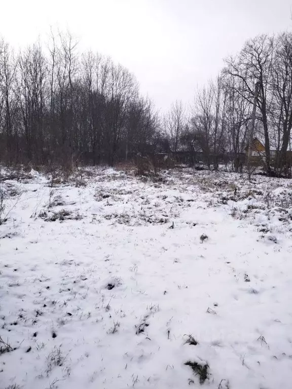 Участок в Калужская область, Боровский муниципальный округ, д. Добрино ... - Фото 1