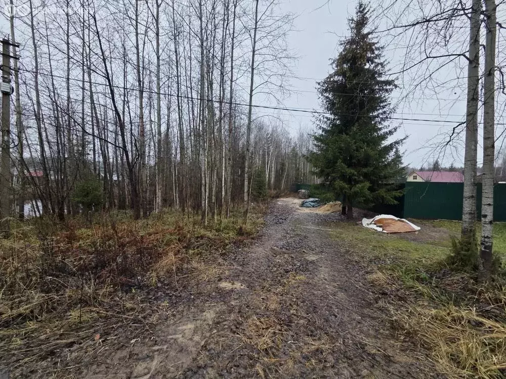 Участок в Медведевский район, Сидоровское сельское поселение, деревня ... - Фото 1