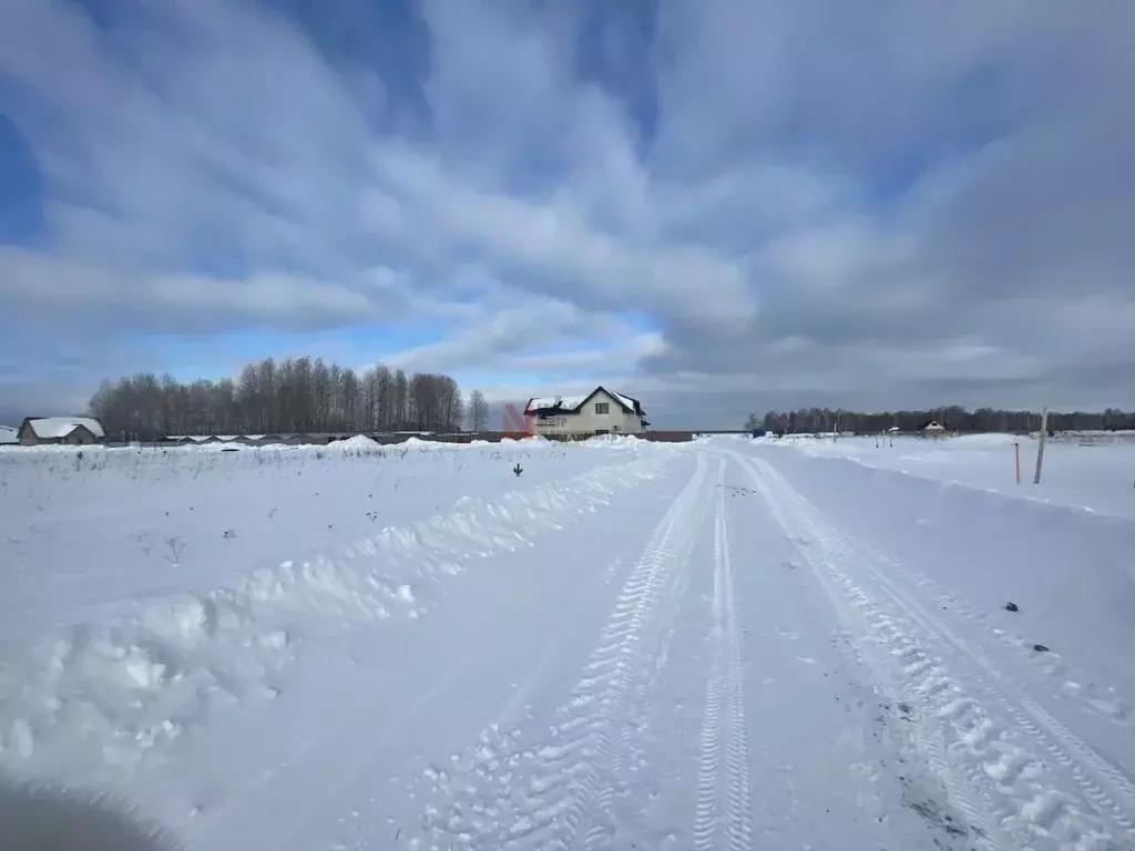 Участок в Тюменская область, Тюменский район, Новокаменский кп ул. ... - Фото 1