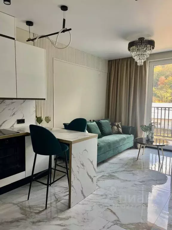 1-к кв. Краснодарский край, Сочи городской округ, Дагомыс пгт ул. ... - Фото 1