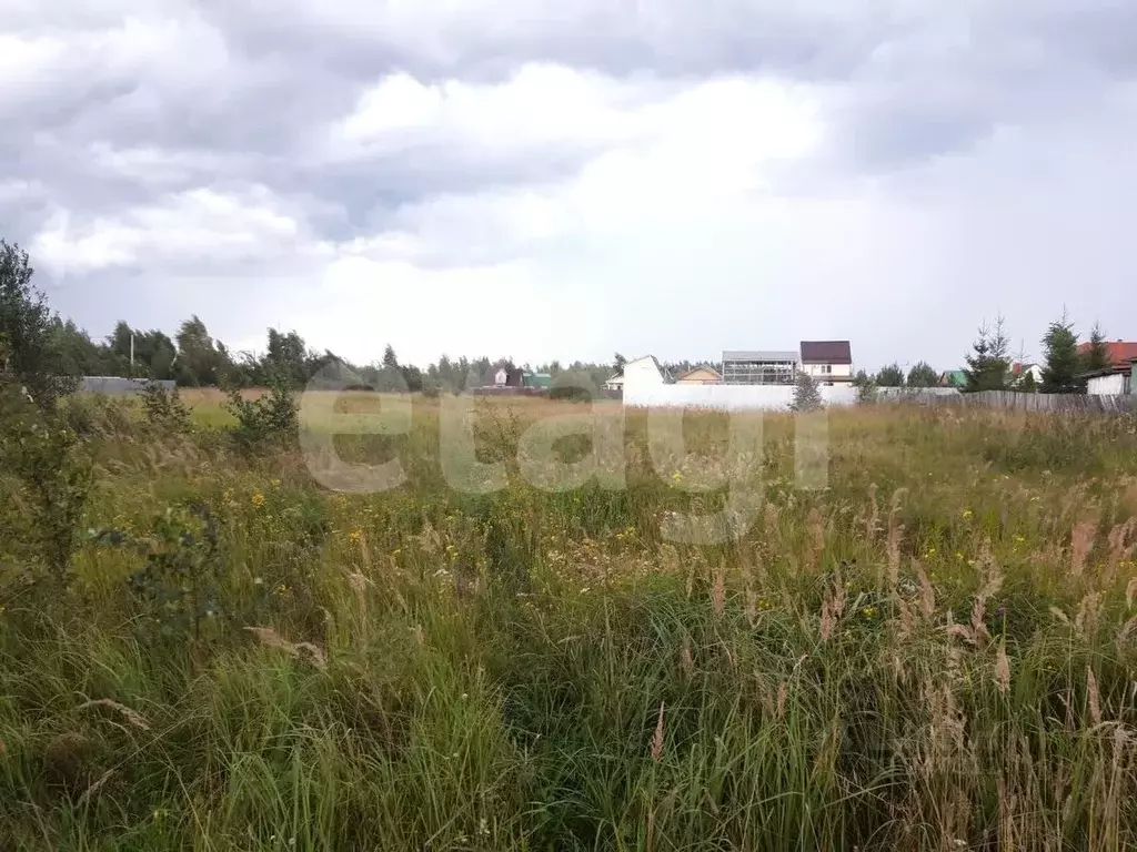 Участок в Московская область, Коломна городской округ, с. Нижнее ... - Фото 0