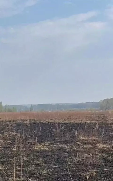 Участок в Еврейская автономная область, с. Бирофельд  (20.36 сот.) - Фото 2