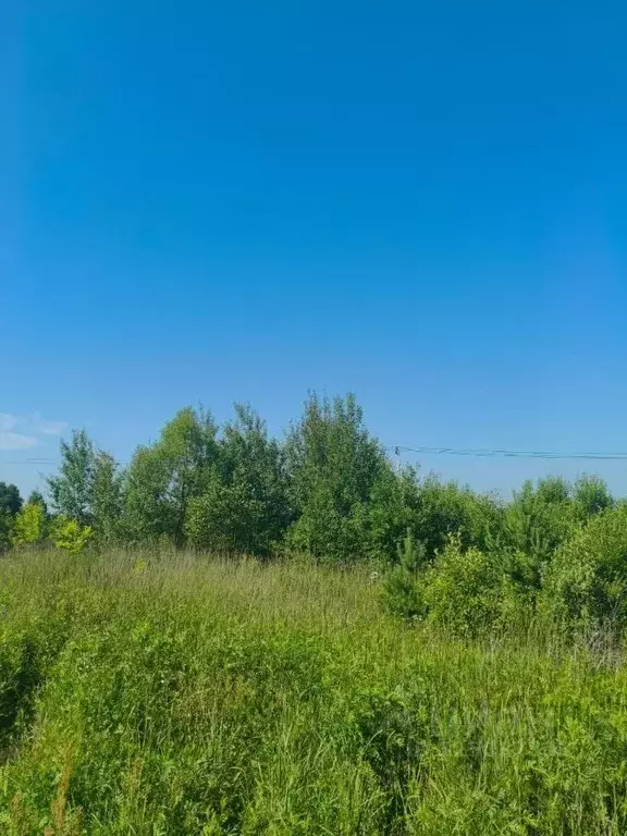 Участок в Московская область, Шатура муниципальный округ, д. Бордуки  ... - Фото 2