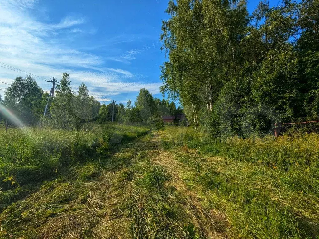 Участок 10 сот. (СНТ, ДНП) - Фото 1