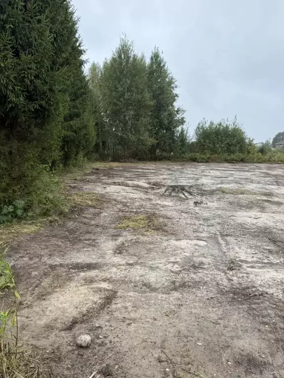 Участок в Нижегородская область, Бор пос. Большое Пикино, ул. ... - Фото 1