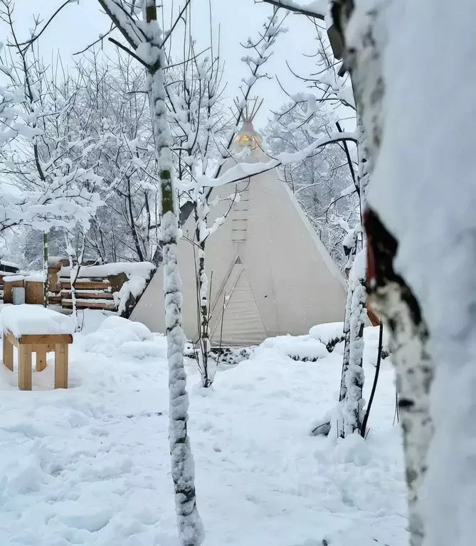 Дом в Московская область, Рузский муниципальный округ, д. Ваюхино 100А ... - Фото 1