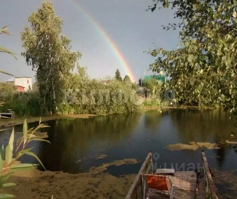 Участок в Новосибирская область, Колыванский район, Калина красная ... - Фото 2