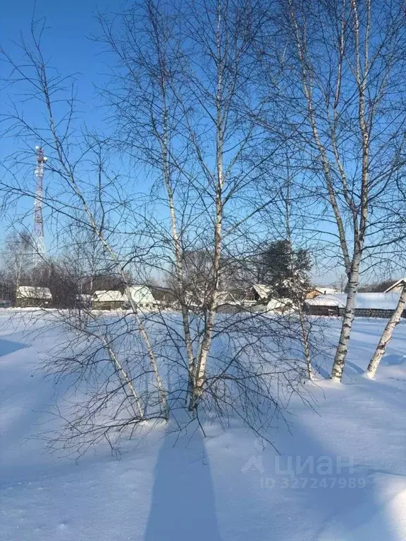 Участок в Московская область, Ступино городской округ, с. Суково  ... - Фото 2