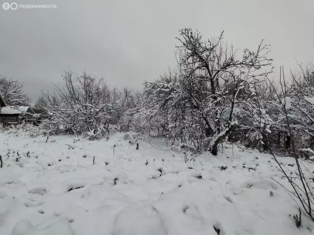 Участок в Саранск, СТ Весна (5 м) - Фото 1