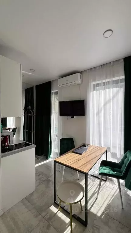 Студия Краснодарский край, Сочи ул. Ленина, 219А/1к1 (17.0 м) - Фото 2