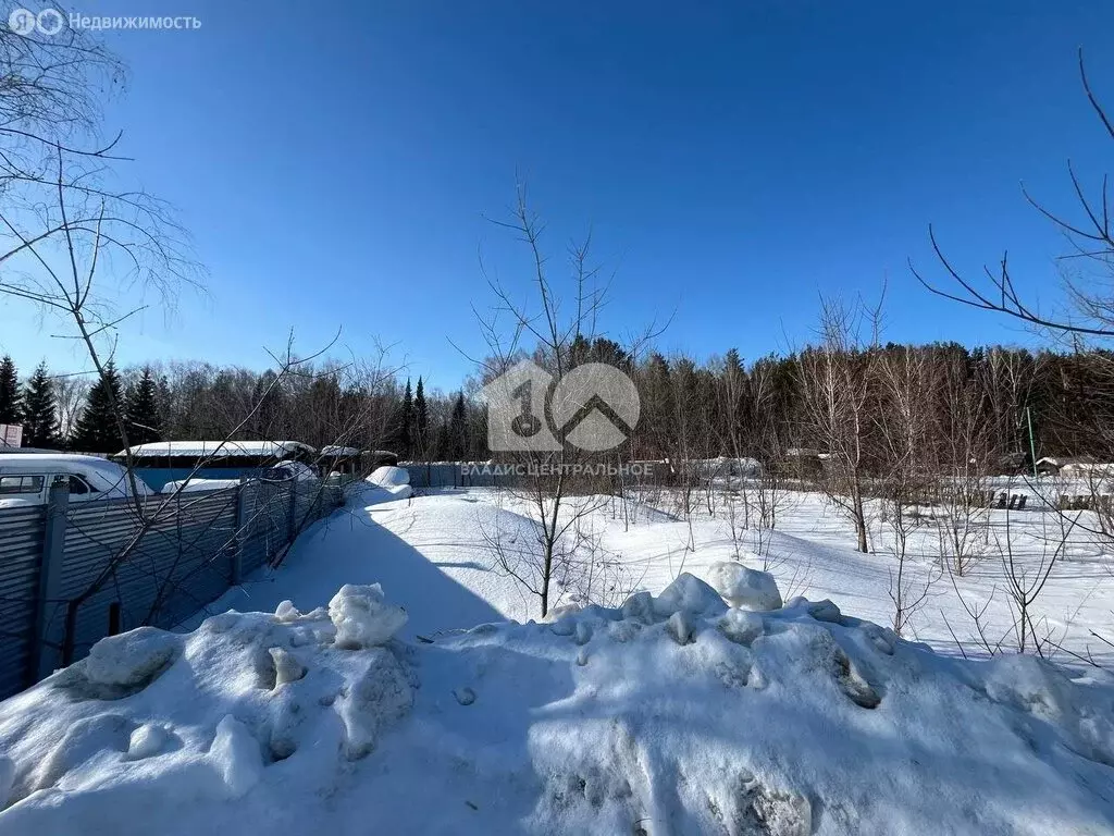 Участок в Новосибирск, СНТ Любитель (20 м) - Фото 1