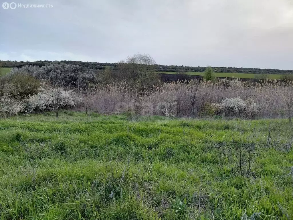 Участок в Симферопольский район, Трудовское сельское поселение, село ... - Фото 2