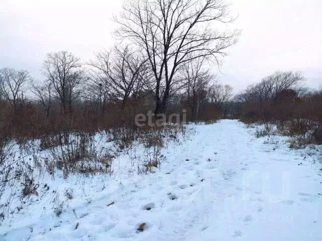 Участок в Свердловская область, Горноуральский муниципальный округ, с. ... - Фото 0