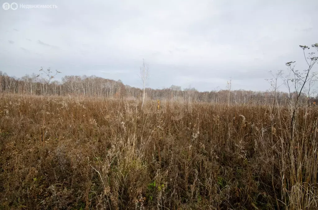 Участок в Заводоуковск, улица Семёна Урусова (9.8 м) - Фото 2