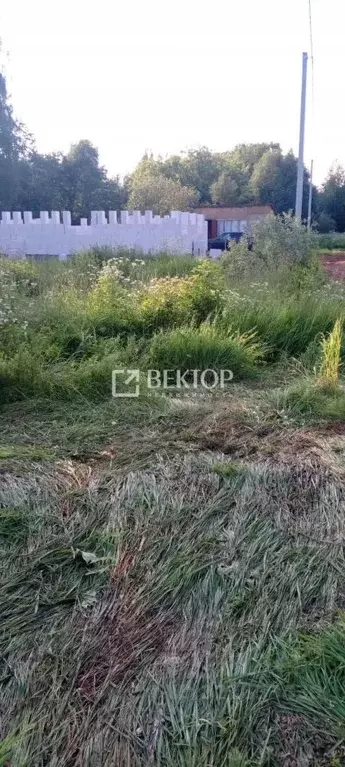 Участок в Костромская область, Костромской район, с. Сущево Сущевская ... - Фото 0