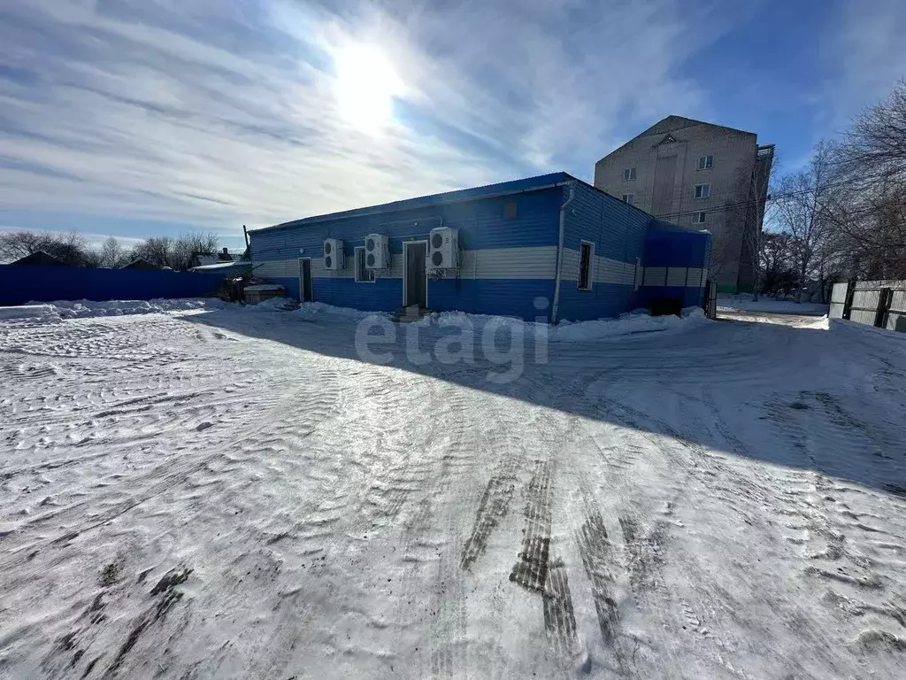 Торговая площадь в Амурская область, Благовещенск пос. Астрахановка, ... - Фото 2