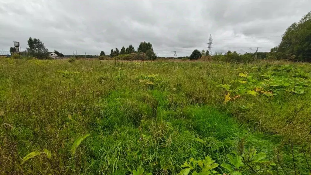 Участок в Московская область, Рузский муниципальный округ, д. Лихачево ... - Фото 1