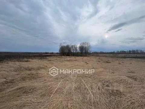 Участок в Брянская область, Брянский район, с. Глинищево  ( сот.) - Фото 0