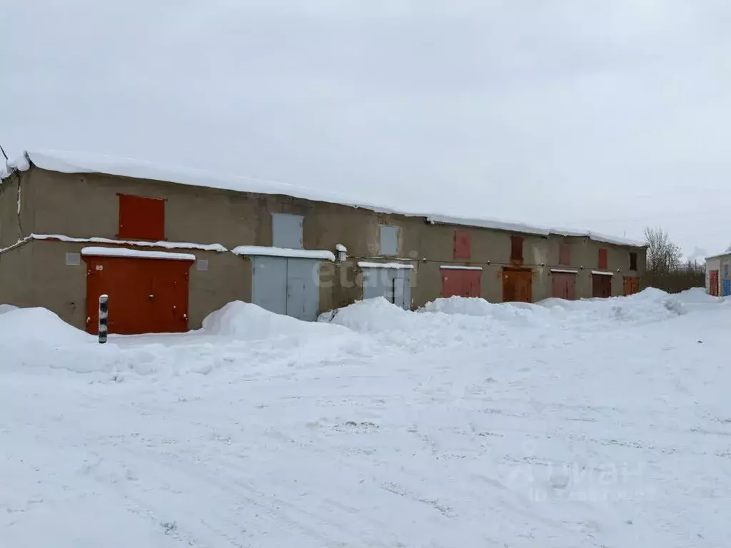 Гараж в Вологодская область, Вологда Говоровский проезд, 41В (25 м) - Фото 1