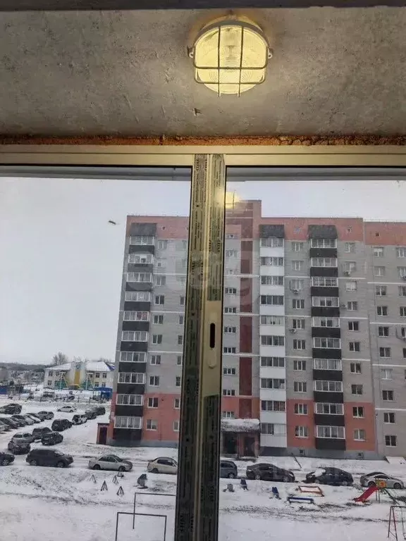 2-к кв. Алтайский край, Новоалтайск ул. Анатолия, 94 (52.5 м) - Фото 2