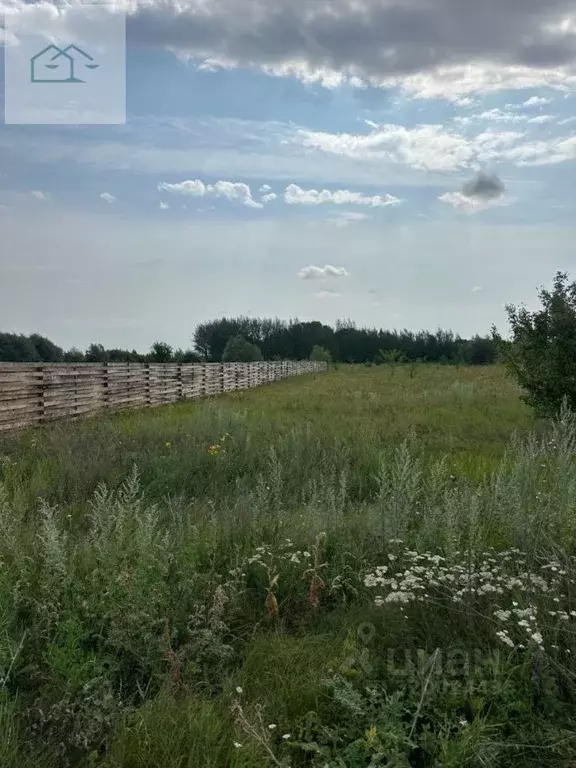 Участок в Воронежская область, с. Новая Усмань ул. Октябрьская, 433/1 ... - Фото 1