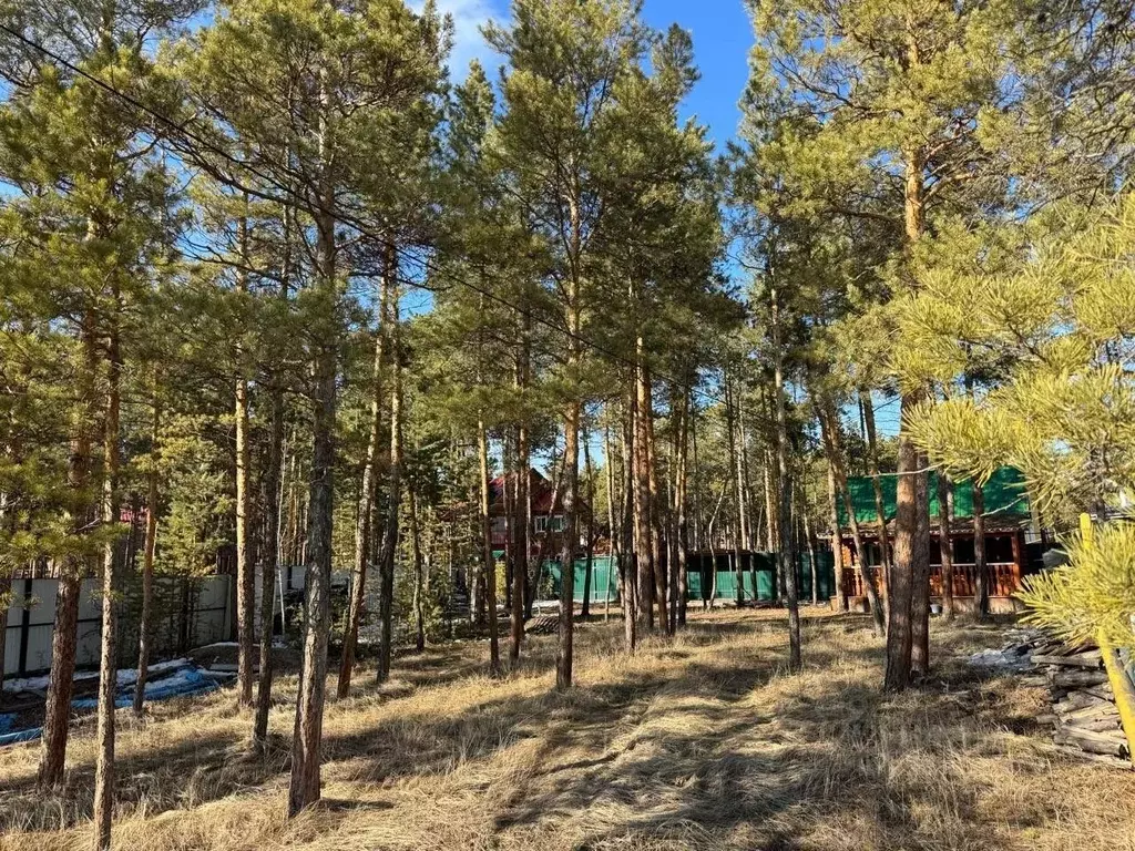 Дом в Саха (Якутия), Якутск ул. Три Сосны (36 м) - Фото 1