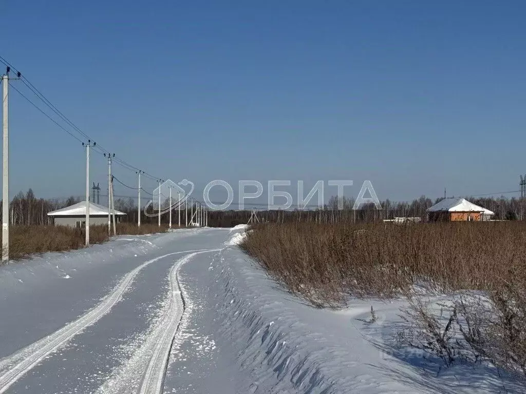 Участок в Тюменская область, Тюменский муниципальный округ, с. Борки ... - Фото 2