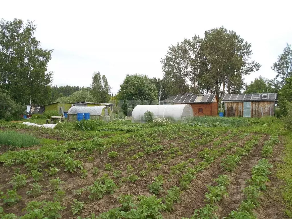 Купить Участок Юрково Сокольский Район Нижегородская Область