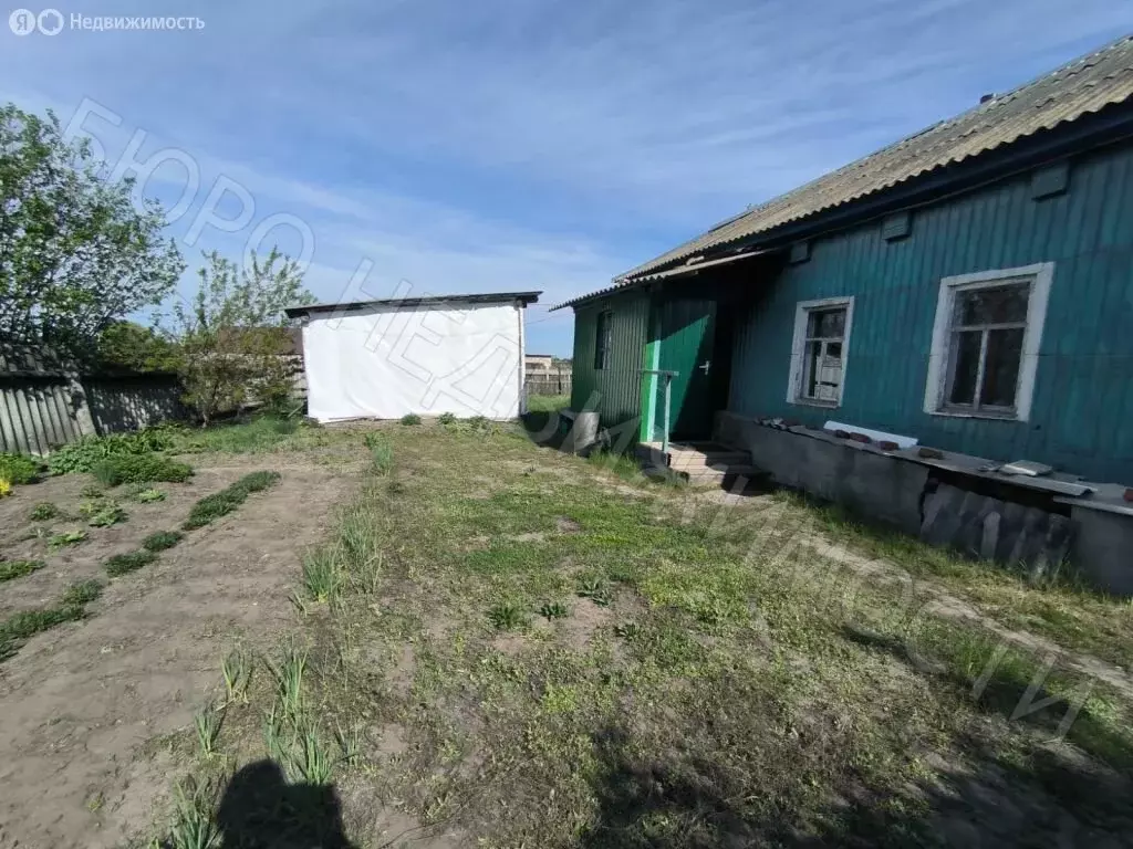 Дом в село Репное, Советская улица, 43 (31 м) - Фото 0