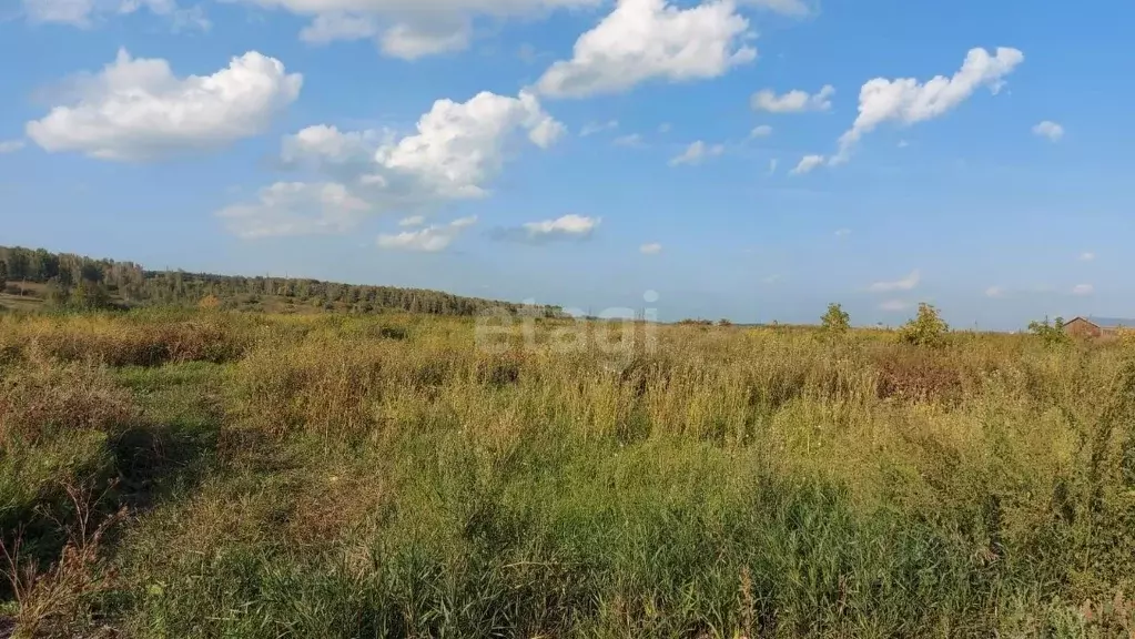 Участок в Кемеровская область, Кемеровский район, с. Ягуново Угловая ... - Фото 1