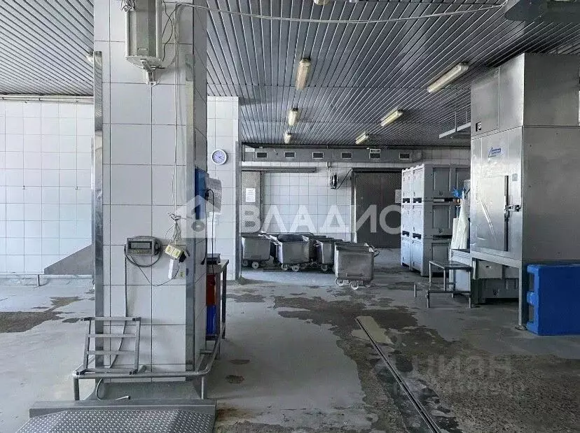 Помещение свободного назначения в Алтайский край, Бийск ... - Фото 1