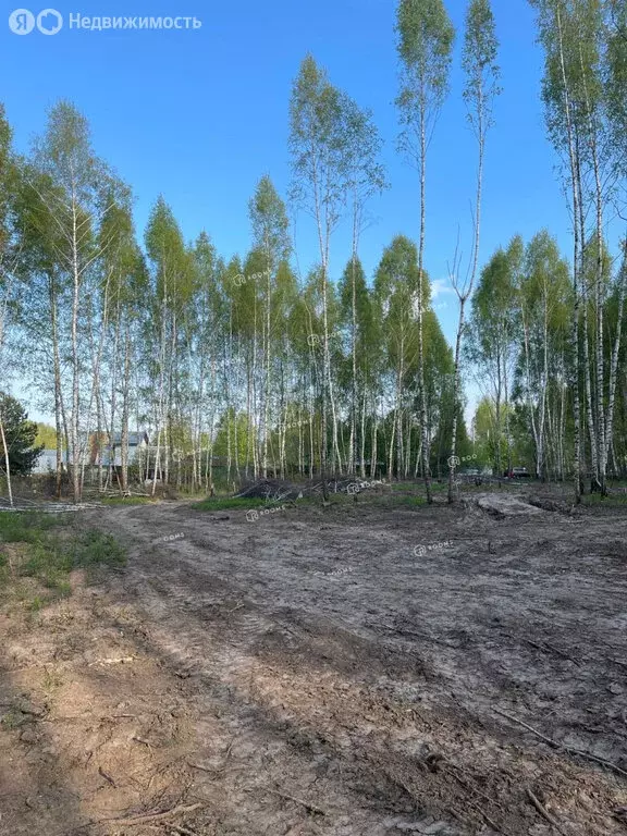 Участок в Тула, улица Тюрина, 66 (11.2 м) - Фото 1
