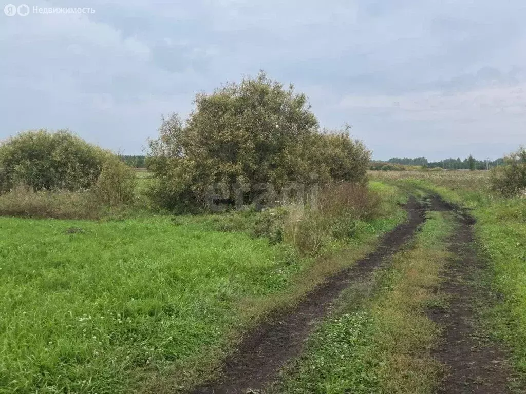 Участок в Усть-Ницинское сельское поселение, деревня Ермолина (150 м) - Фото 2