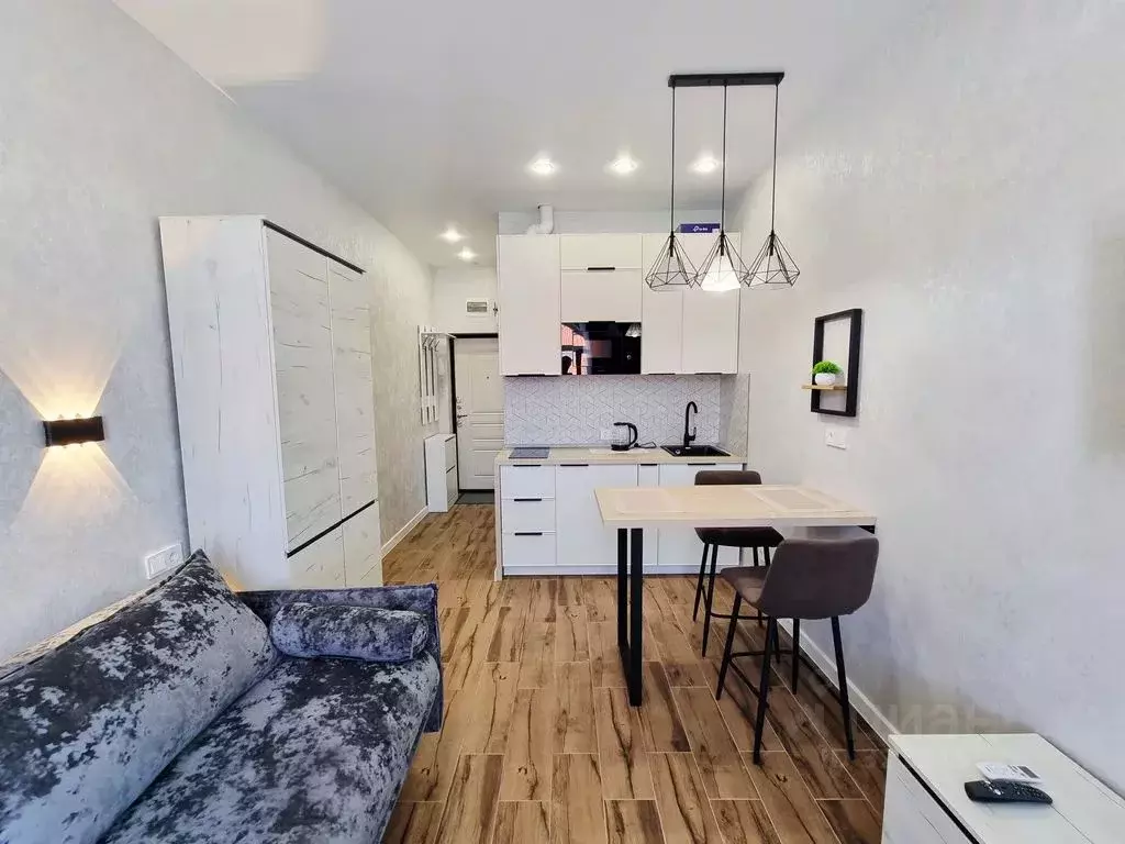 Студия Краснодарский край, Сочи ул. Ленина, 290/7к5 (24.0 м) - Фото 1