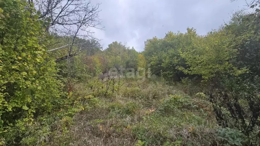 Участок в Краснодарский край, Северский район, Ильское городское ... - Фото 0