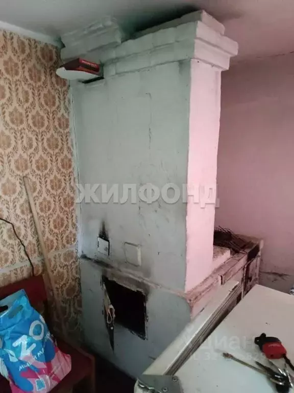 Участок в Новосибирская область, Новосибирский район, Барышевский ... - Фото 2